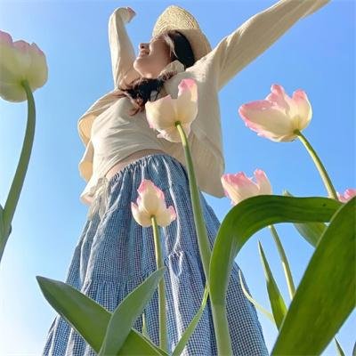 关于灰鸽子的歌